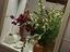Immagine 23