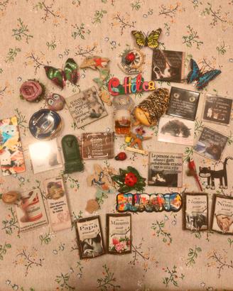 35 Calamite da frigo