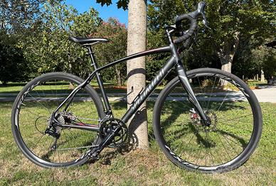 specialized secteur sport