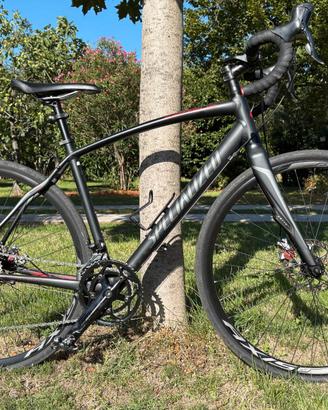 specialized secteur sport