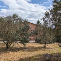 Villa indipendente - doppi servizi