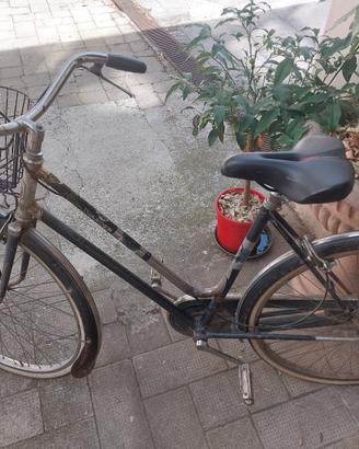 Bici da donna vintage, marca Wander