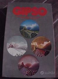 Puzzle gioco della Gipso