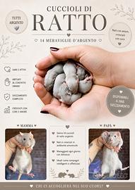 Cuccioli di ratti da compagnia