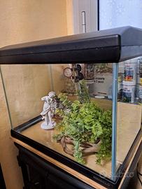 acquario 42x27x35h 
