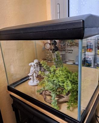 acquario 42x27x35h 