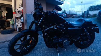 Harley-Davidson Sportster 883 Iron