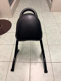 Sissy bar harley davison