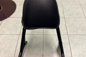 Sissy bar harley davison