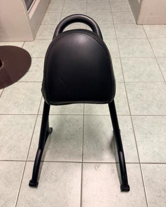 Sissy bar harley davison