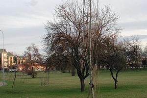 Buco del signore .Casa ind.te recente mq 420