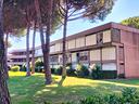 appartamento-a-marina-di-bibbona-bibbona