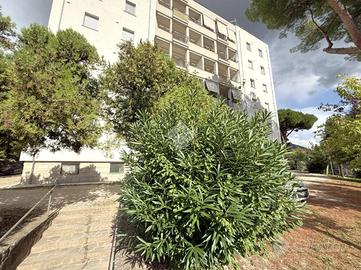 3 LOCALI A VITERBO