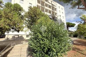 3 LOCALI A VITERBO
