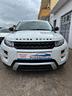 range-rover-evoque-limited-tetto-panoramico