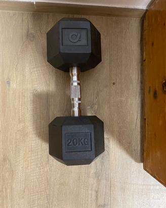 Manubrio 20 kg