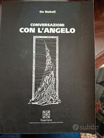 Conversazioni con l'angelo