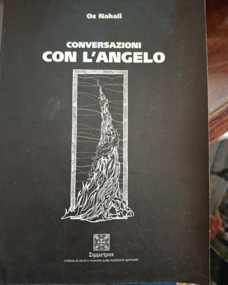 Conversazioni con l'angelo