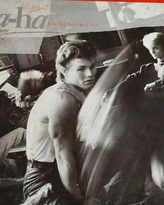 A-ha Hunting High And Low 1985 Vinile, LP, Album