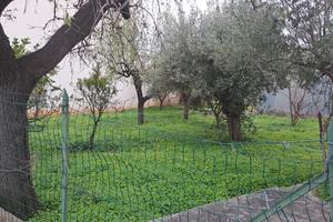 Terreno edificabile + rustico