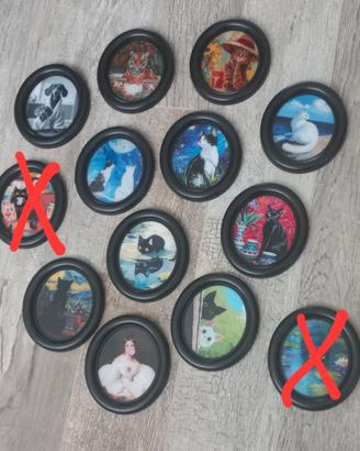 Quadri plastica gatti e varie immagini 10 cadauno