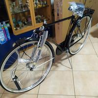 bici 28 Doniselli