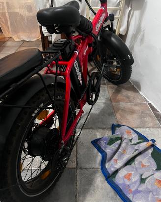 Bici elettrica
