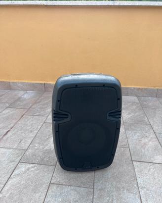 Cassa acustica bluettoth Attiva Amplificata
