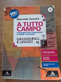 libri scolastici 