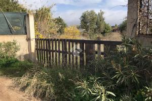 TER. AGRICOLO A QUARTU SANT'ELENA