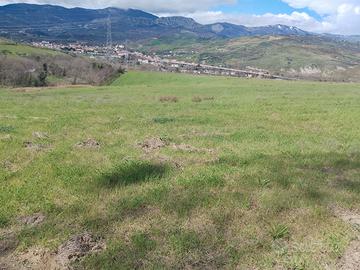 Terreni agricoli