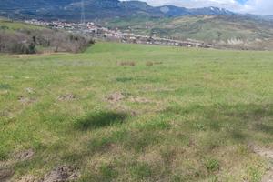 Terreni agricoli
