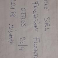 Cuccioli di Labrador miele Neri cioccolato