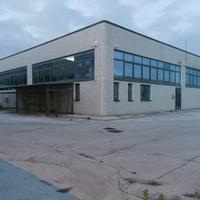 Capannone / Laboratorio Morrovalle