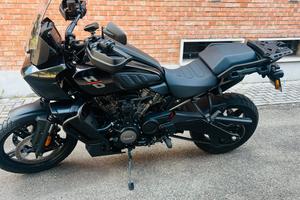 Harley davidson panamerica