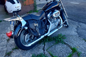 Harley Davidson 883 Sportler