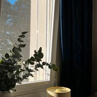 Tende in Velluto Blu Intenso - per soffitto 270cm