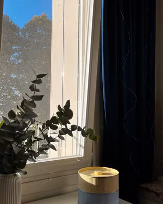 Tende in Velluto Blu Intenso - per soffitto 270cm