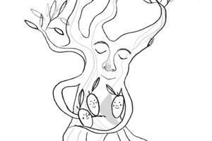 Casa vacanze affitto brevi periodi