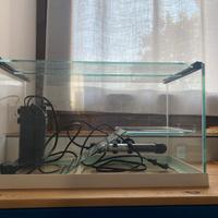 Acquario tartarughiera