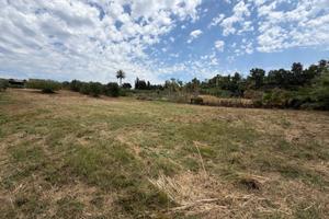 TERRENO 2.700mq CONTRADA PALMA