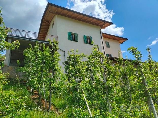 Porzione di casa con ampio terreno Agricolo, Taio