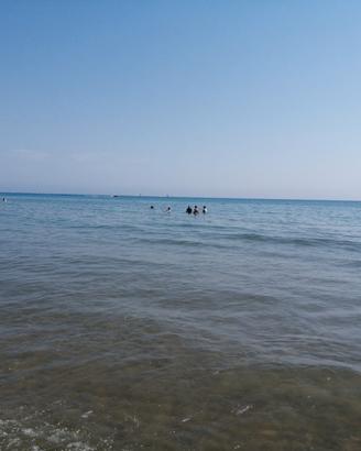 Casammare libera dal 12 settembre