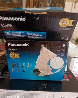 Telefonia fissa Cordless Panasonic - KX-TG1611JTR