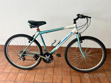 Bicicletta da ragazzo