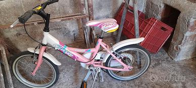 Bicicletta Cinzia