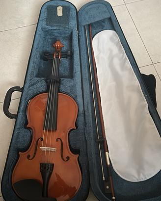 Violino