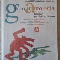 9788842403685 GRAMMATICA ANTOLOGIA