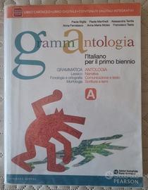 9788842403685 GRAMMATICA ANTOLOGIA