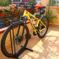 MTB carbonio 